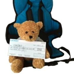 Cerebra bear and the Goto seat