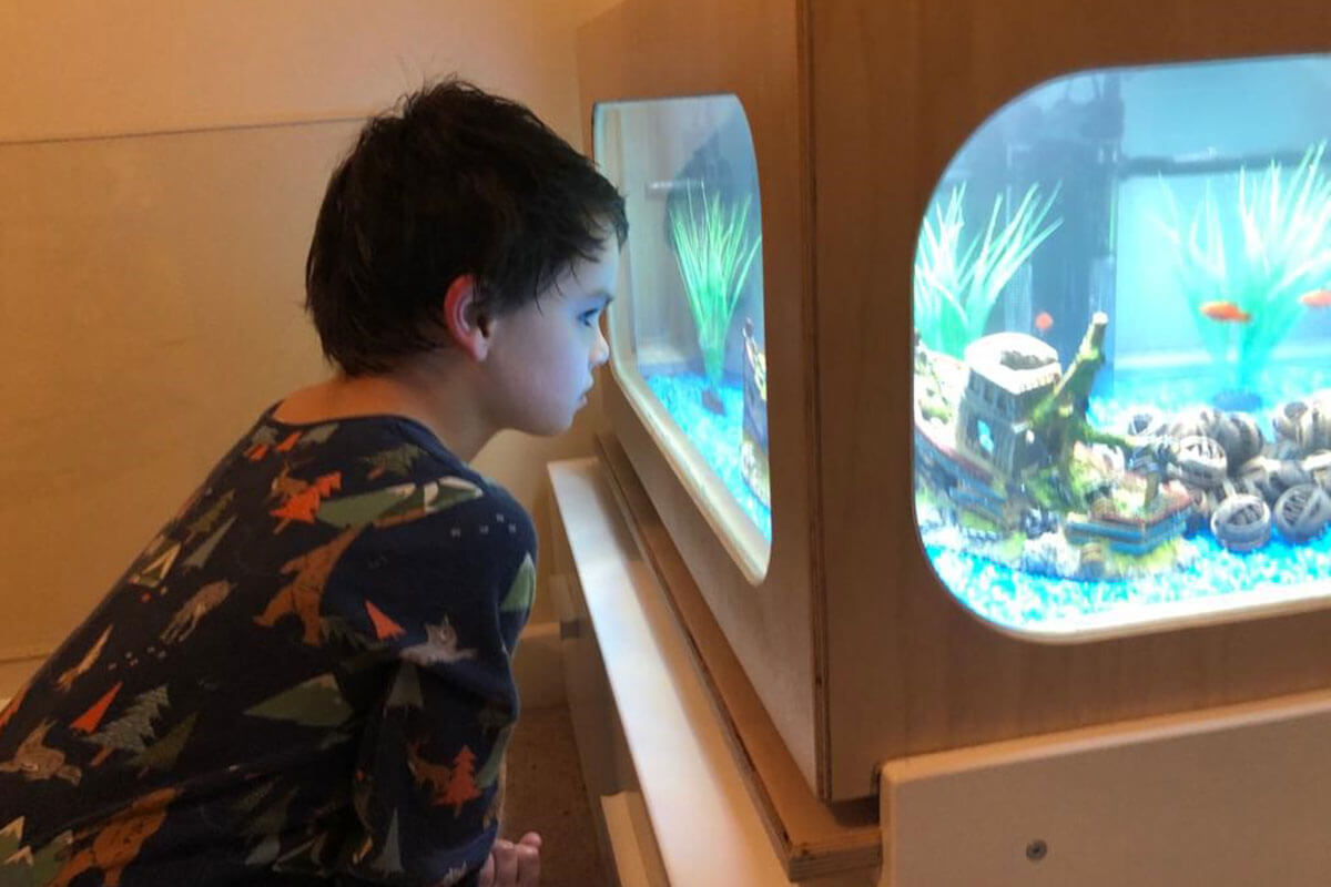 Ethan and his CIC fish tank