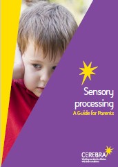 Sensory Processing - Guide for parents