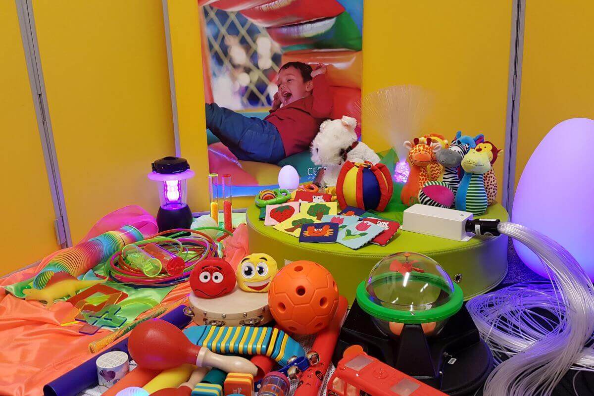 A selection of toys available from cerebra's lending library