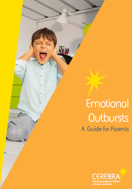 Emotional Outbursts - Guide for Parents