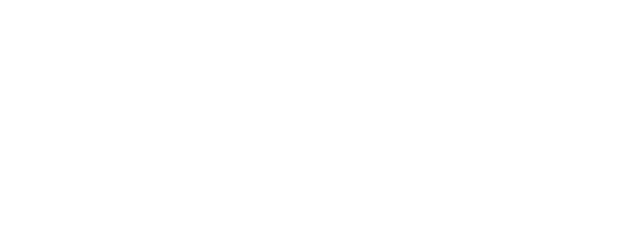 Cerebra Final Lottery Logo horizontal monoREVERSE