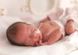 Research into neo-natal.
