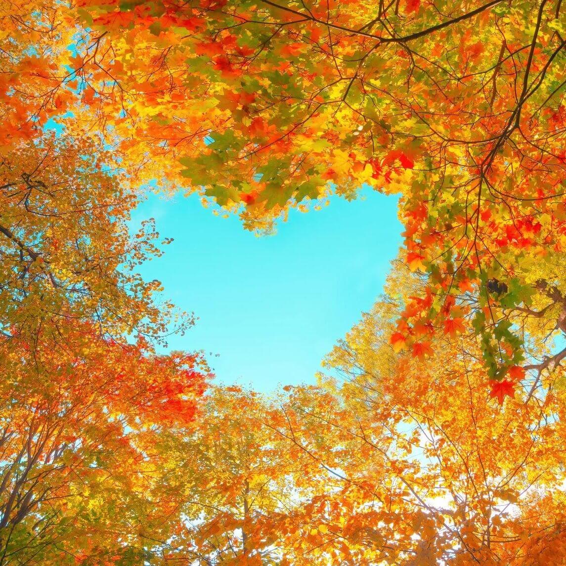 Heart trees