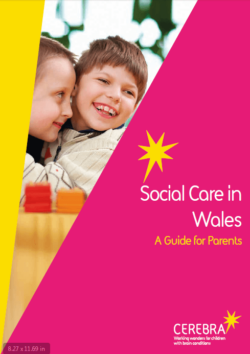 Social Care in Wales - Cerebra the charity for children with brain conditions