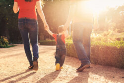 Trusts and Foundations Cerebra.