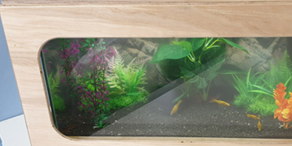 The Cerebra Innovation Centre fish tank