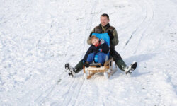 Disabled child's sledge.
